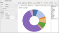 Statistics report (donut chart)